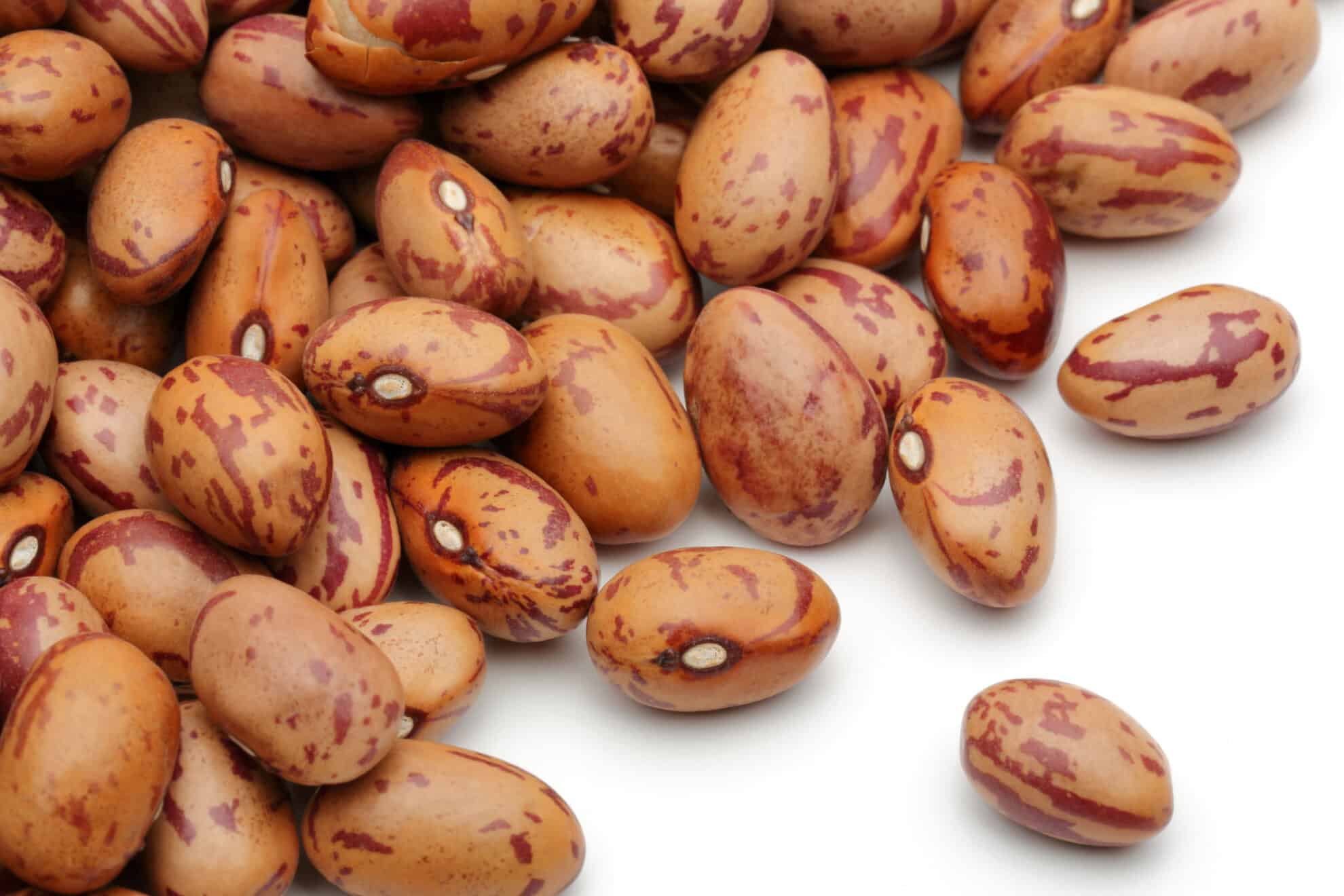 /storage/photos/10/Pinto beans.jpg